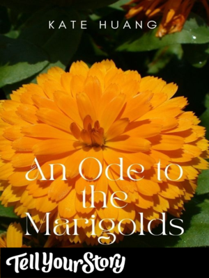 cover image of An Ode to the Marigolds